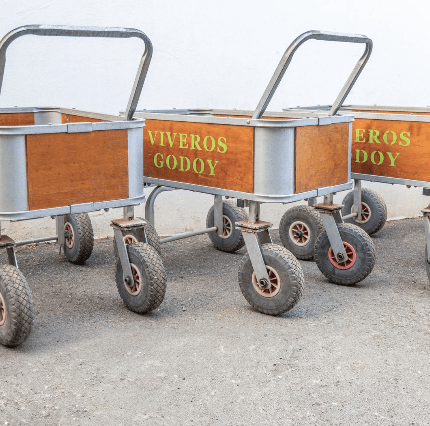 Carro- video-3